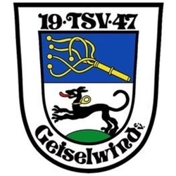 Logo TSV Geiselwind